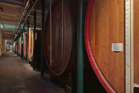 Il Museo Collezione Branca e la storia del Fernet di Milano