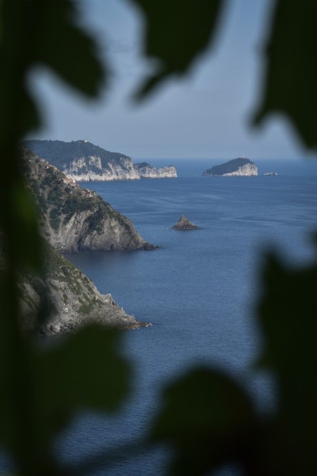 Cinque Terre Vino