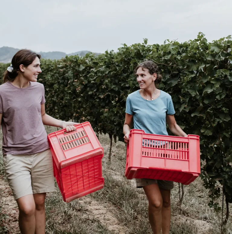 Cantina Tibaldi