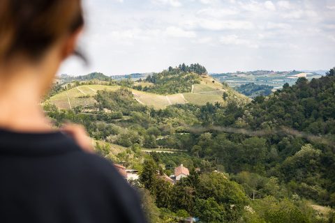 cantine-del-roero