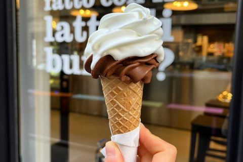 conogelato gelaterie torino 1