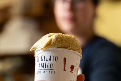 il-gelato-amico-torino
