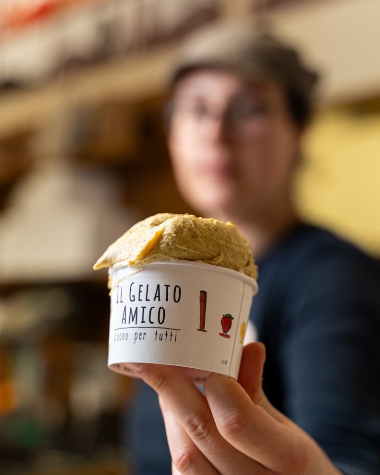 il-gelato-amico-torino