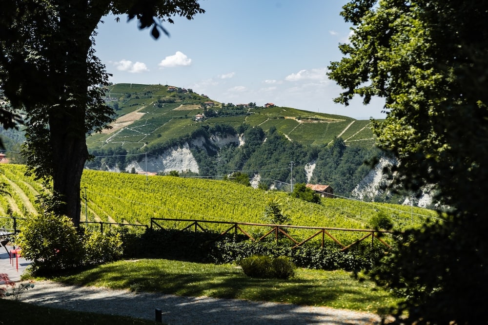 origini bistrot langhe