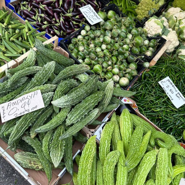 papiniano milano