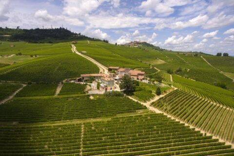 palas cerequio barolo