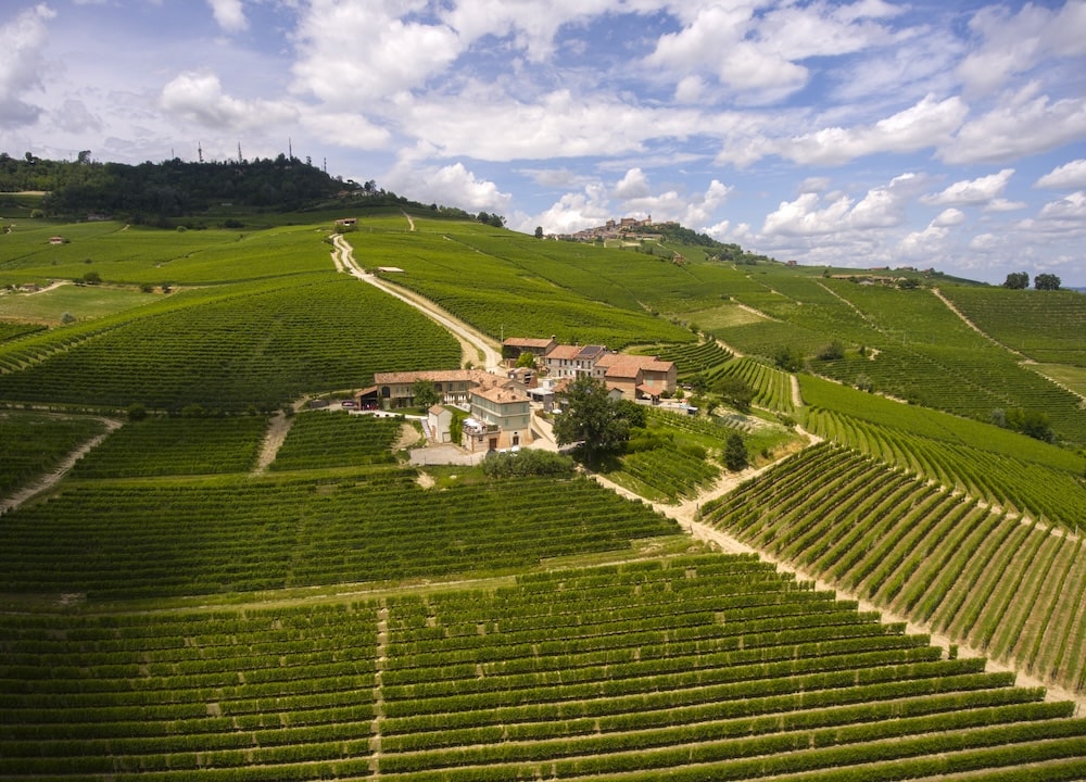 palas cerequio barolo