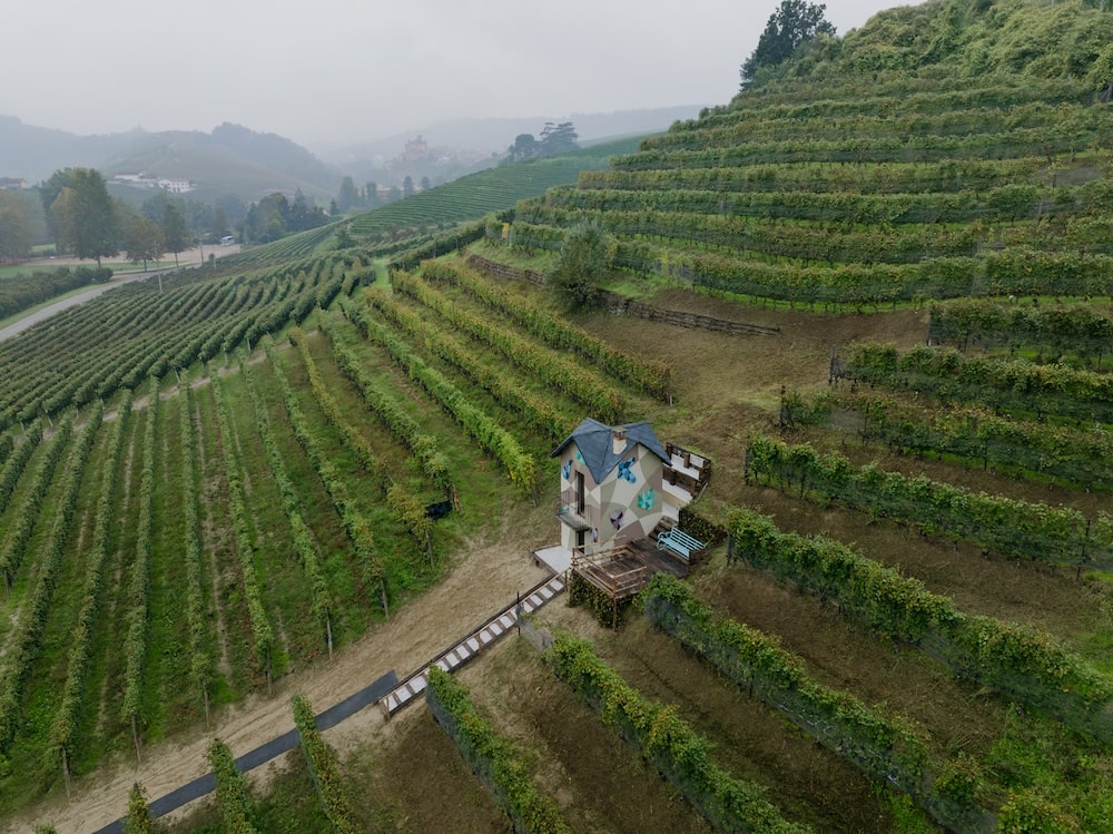 Palas Cerequio Barolo