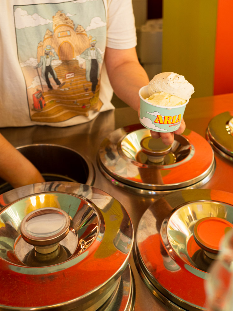 gelaterie artigianali torino