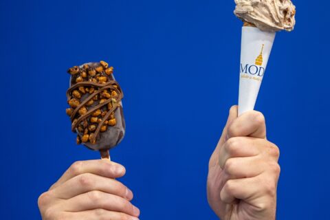 modo gelateria torino